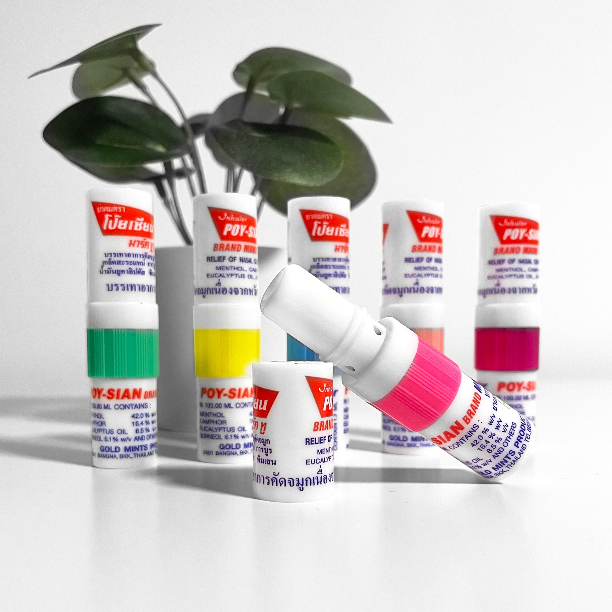 Poy Sian Mark II Naseninhalierstift mit ätherischen Ölen wie Menthol, Eukalyptus, Borneol und Kampfer aus Thailand Original, Aromatherapie Riechstick, Thai Inhaler