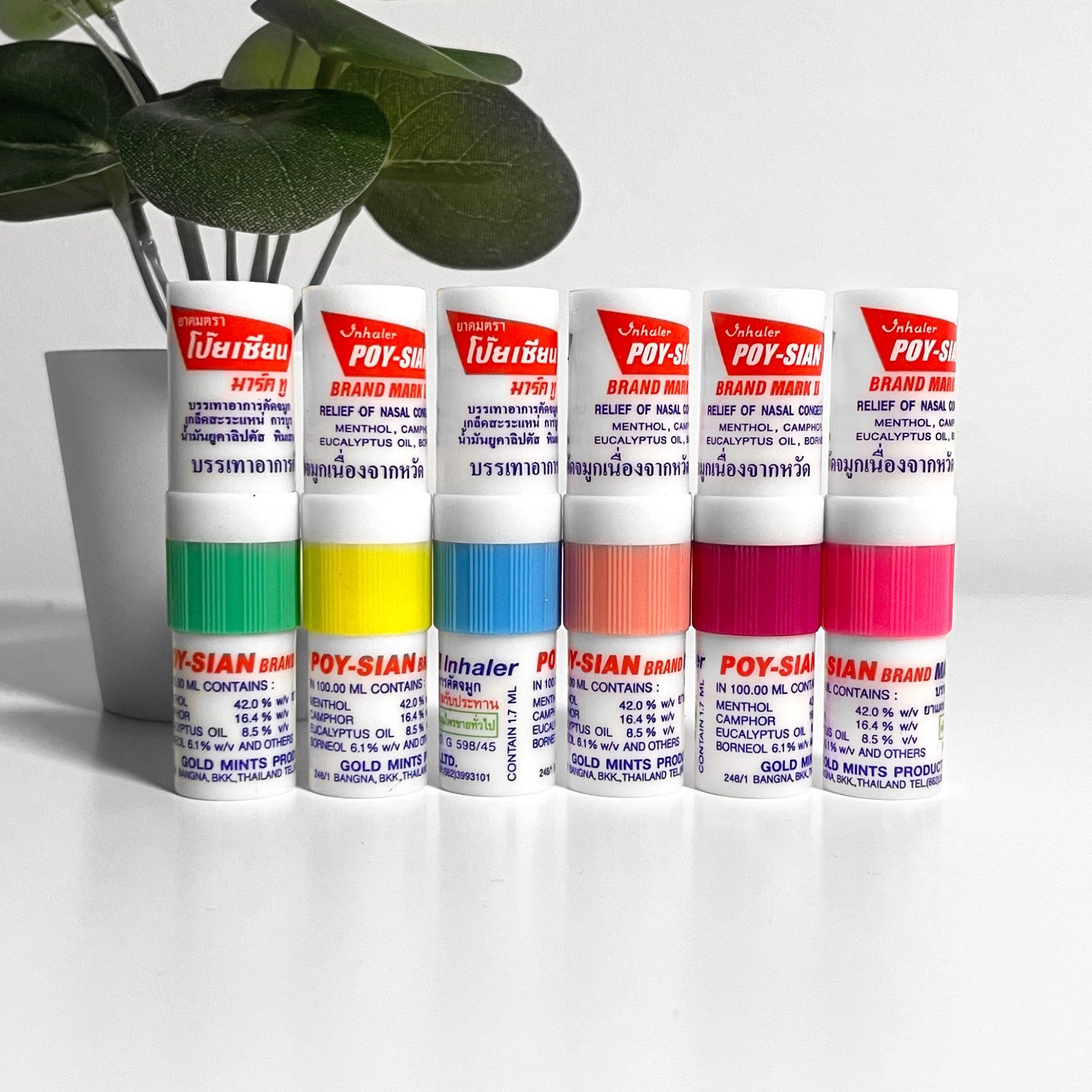 Poy Sian Mark II Naseninhalierstift mit ätherischen Ölen wie Menthol, Eukalyptus, Borneol und Kampfer aus Thailand Original, Aromatherapie Riechstick, Thai Inhaler